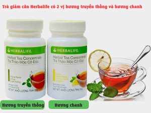 Herbal Tea Concentrate Trà Thảo Mộc Cô Đặc
