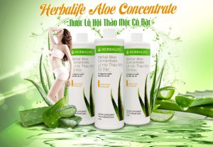 banner-tra-thao-moc-lo-hoi-co-dac-herbalife-aloe-concentrate-H007
